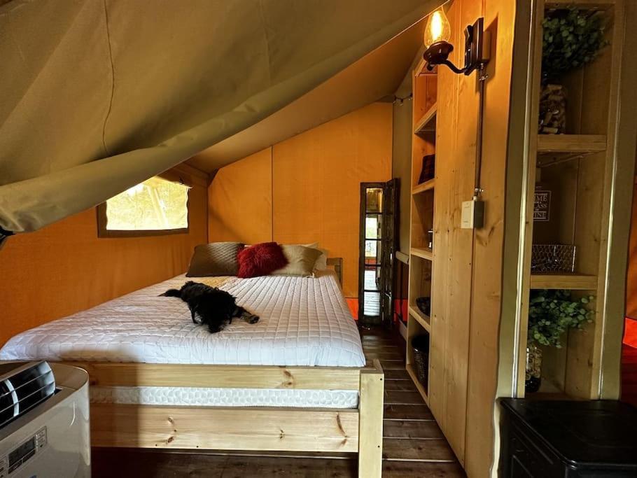 12 Fires Luxury Glamping With Heating #5 호텔 존슨 시티 외부 사진